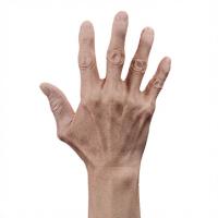 Retopologized 3D Hand scan of Ike Hidetsugu Asian male
