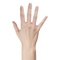 Lucy Evans Retopo Hand Scan