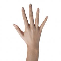 Halim Ting Retopo Hand Scan