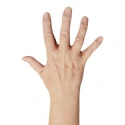 Raylee Burns Retopo Hand Scan