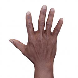 Dimetrice Moss Retopo Hand Scan
