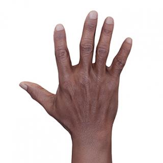 Retopologized 3D Hand scan of Dimetrice Moss Black Female