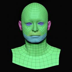 Vitalij Ferguson Subdivs 3D Model