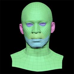 Kamoni Mccray Subdivs 3D Model