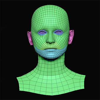 Head Woman White 3D Retopologised Heads