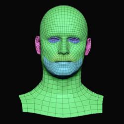 Jackson Henderson Subdivs 3D Model