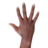 Retopologized 3D Hand scan of Kiante Allen Black Male