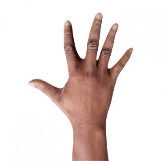 Retopologized 3D Hand scan of Anderius Mosley Black Male