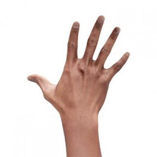  Retopologized 3D Hand scan of Denton Allen Black Male
