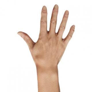 Retopologized 3D Hand scan of Hitarashi Hachigoro Asian Male