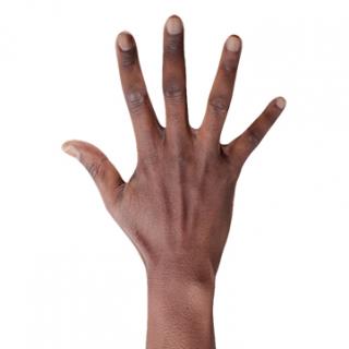 Retopologized 3D Hand scan of Dameon Chatman Black Male