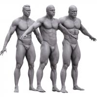 BUNDLE Muscle Men Base Body Scans