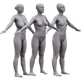 BUNDLE Nude Women Base Body Scans