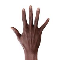 Retopologized 3D Hand scan of Eddison Bates Black Male