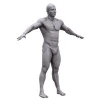 Terrence Base Body Scan
