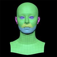 Retopologized 3D Head scan of Anneli SubDivision