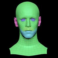 Retopologized 3D Head scan of Rylen Cannon SubDivision