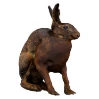 Hare Base Animal Scan