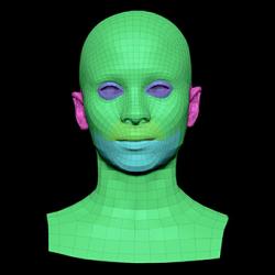 Retopologized 3D Head scan of Aisha Bonobo SubDivision