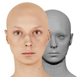 Retopologized 3D Head scan of Isabella de Laa