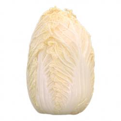 Food Chinese Cabbage 3D Scan
