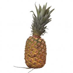 Food Pineapple 3D Scan