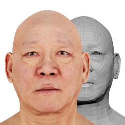 Retopologized 3D Head scan of Iwasaki Mashai