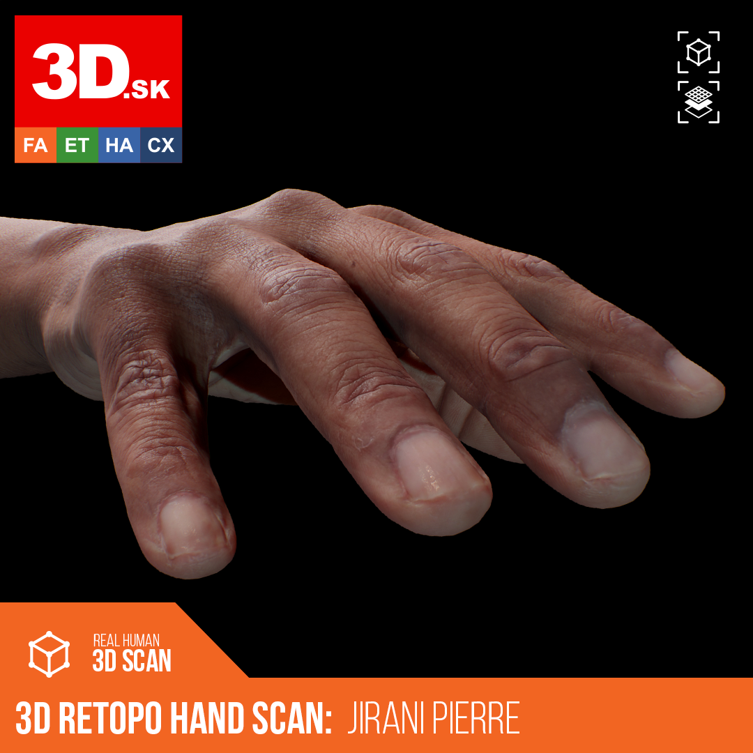 3D.sk Retopologized 3D Hand Scans